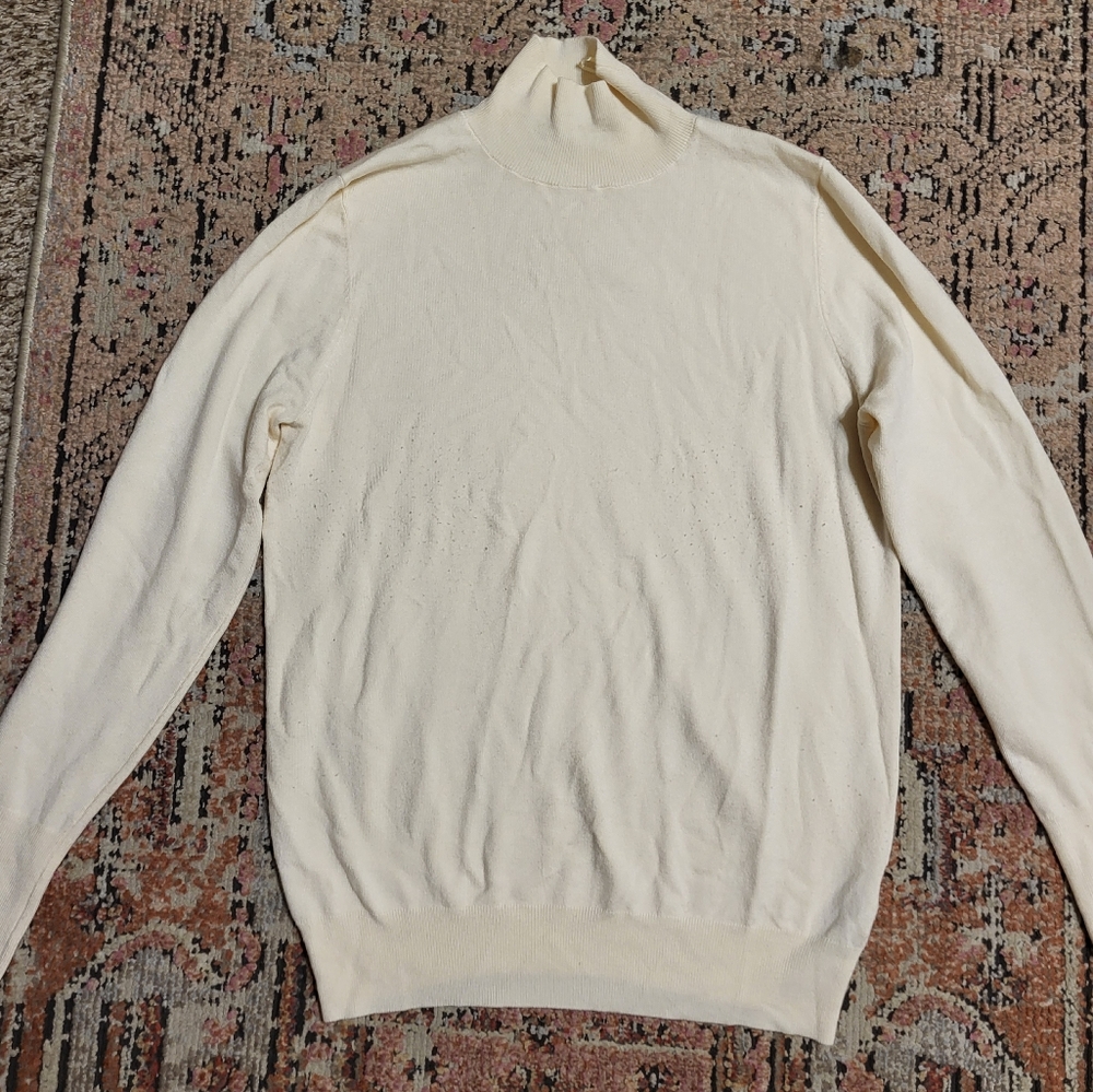 Zara turtle neck medium